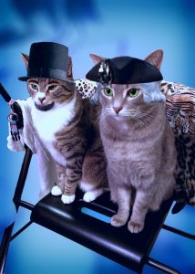 Who knew that Lincoln and Washington were so adorable?